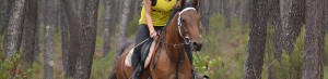 Competition endurance chevaux karine feral Page endurance
